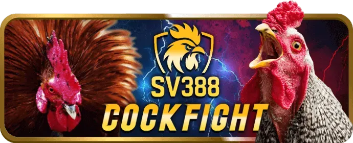 Ưu đãi hoàn trả hàng ngày J88VIP2